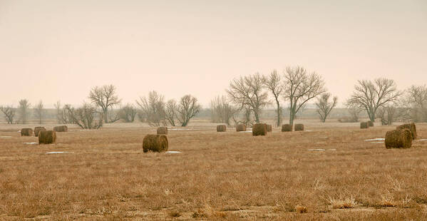 Mixed Media. Mixed Media Photography.mixed Media Hay Bails. Colorado Hay Bails. Landscape Hay Bails. Hay Bails Greeing Cards. Fine Art Photography. Trees. Foggy Moring. Early Moring Photography. Colorado. Colorado Photography. Digtal Photography. Digtal Landscape Photography. Art Print featuring the photograph Earlying Morning Hay Bails by James Steele