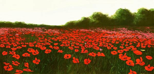 Flowers Art Print featuring the painting Fine Art Oil Painting Poppies Emerald Isle by G Linsenmayer