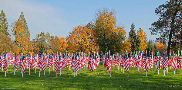 American Art Print featuring the photograph Flags of Honor by Mick Anderson