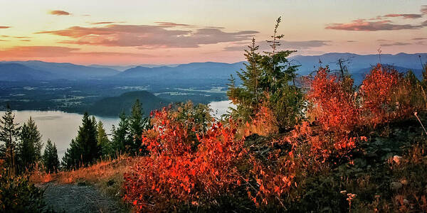 Autumn Color Art Print featuring the photograph Gold Hill Sunset by Albert Seger