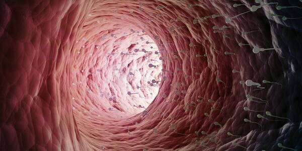 Horizontal Art Print featuring the digital art Human Sperm Cells, Artwork by Andrzej Wojcicki