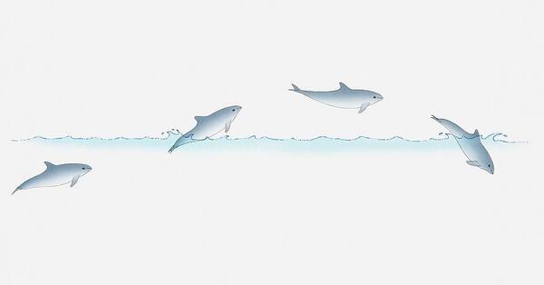Horizontal Art Print featuring the digital art Illustration Of A Dolphin Leaping Out Of Water And Back In, Multiple Image by Dorling Kindersley