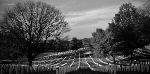 Cemetery Art Print featuring the photograph They Gave All by Chris Berry