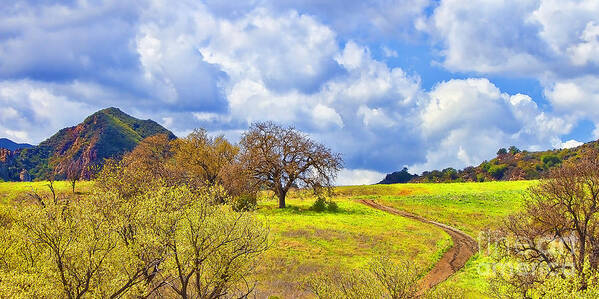 Nature Art Print featuring the photograph Trail To Nowhere by Jason Abando