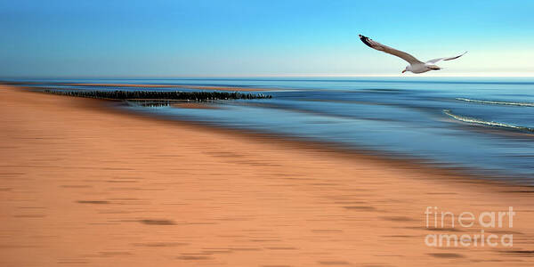 Beach Art Print featuring the photograph Desire Light by Hannes Cmarits