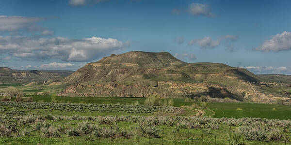Oregon Art Print featuring the photograph 10884 Approaching Owyhee by Pamela Williams