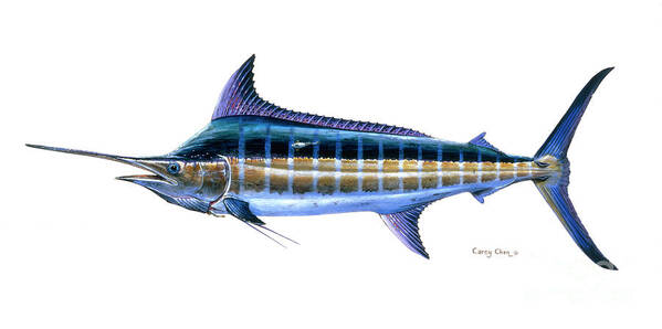 Blue Marlin Art Print featuring the painting Blue Marlin #3 by Carey Chen