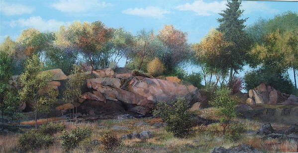 Rocks Art Print featuring the painting Abandoned Quarry by E Colin Williams ARCA