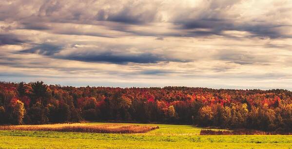 Autumn Art Print featuring the photograph An Autumn Day In Maine by Mountain Dreams