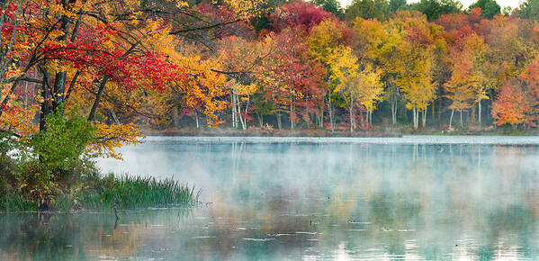 Landscape Art Print featuring the photograph Autumn Pond by Brian Caldwell