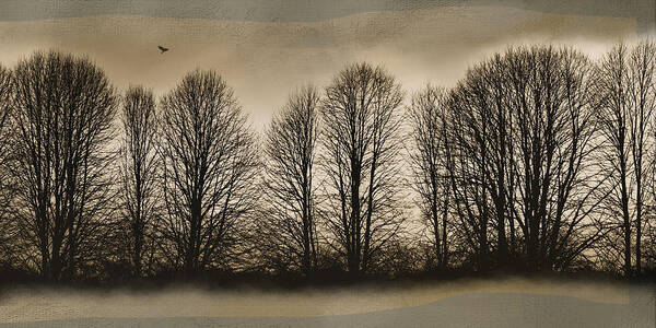 Trees Art Print featuring the photograph Bare Bones by Robin-Lee Vieira