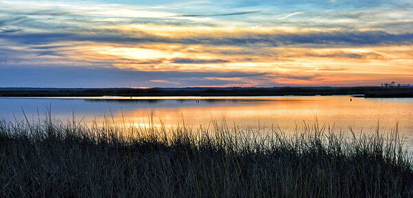 Maryland Art Print featuring the photograph Blackwater Wildlife Refuge - Eastern Shore by Brendan Reals