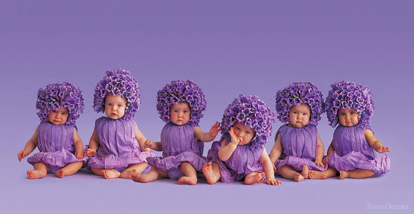 Purple Art Print featuring the photograph Cantebury Bells by Anne Geddes