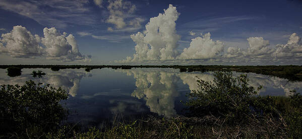Clouds Art Print featuring the photograph Clouds and Reflections by Dorothy Cunningham