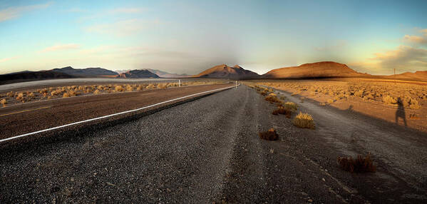 Death Valley National Park Art Print featuring the photograph Death Valley Hitch Hiker by Gary Warnimont