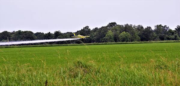 Crop Duster Art Print featuring the photograph For Safety's Sake by John Glass