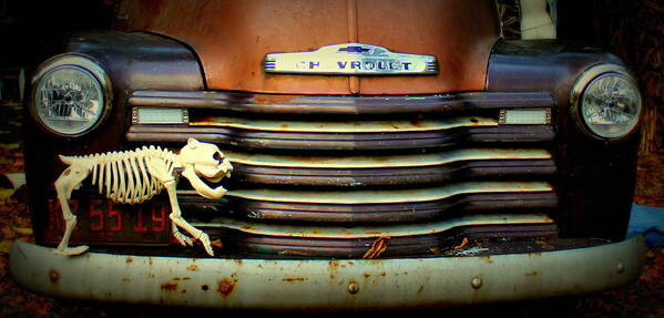  Old Art Print featuring the photograph Front End Grille of 1953 Chevrolet Advantage Design Truck with Dog Skeleton by Anita Hiltz