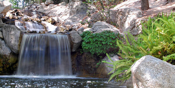 Water Art Print featuring the photograph Gentle Waterfall by Amy Fose