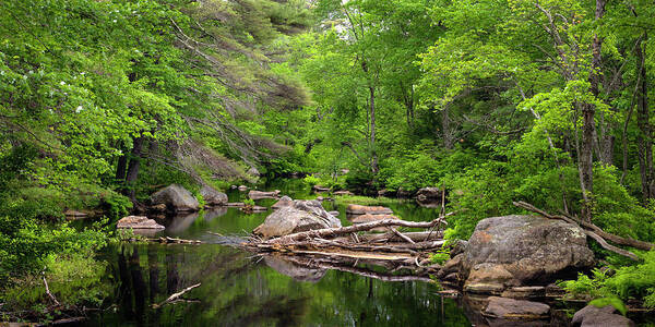 Landscape Art Print featuring the photograph Isinglass River, Barrington, NH by Betty Denise