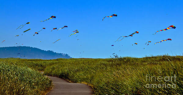 Haybales Art Print featuring the photograph Kites by Robert Bales