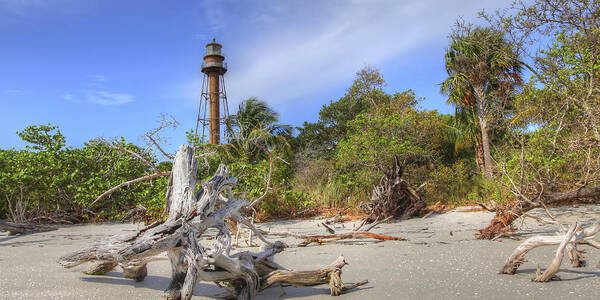 Southwest Art Print featuring the photograph Light Behind the Stump by Sean Allen