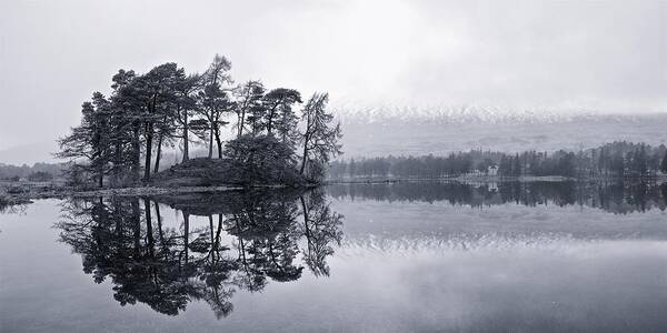 Pines Art Print featuring the photograph Lone Trees by Stephen Taylor
