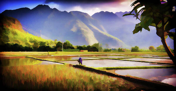 Vietnam Art Print featuring the photograph Mai Chau Paddy Field by Neville Wootton