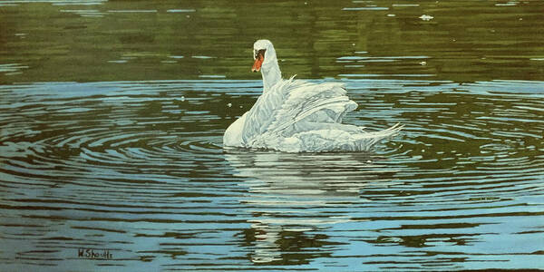 Swan Art Print featuring the painting Making Ripples by Wendy Shoults
