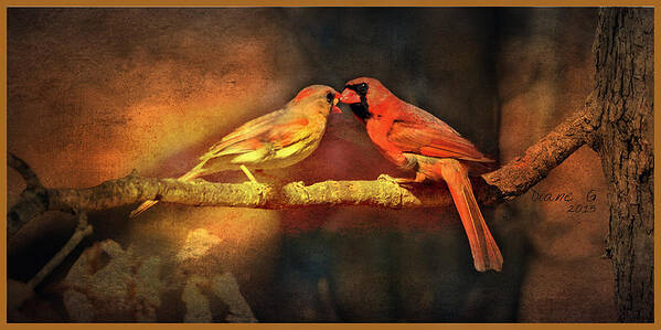 Male And Female Cardinal Art Print featuring the photograph Male and Female Cardinal by Diane Giurco