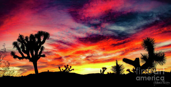 Landscape Art Print featuring the photograph Mojave Sunset by Adam Morsa