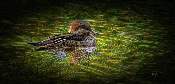 Small Bird Art Print featuring the photograph Neon Swim by Bill Posner