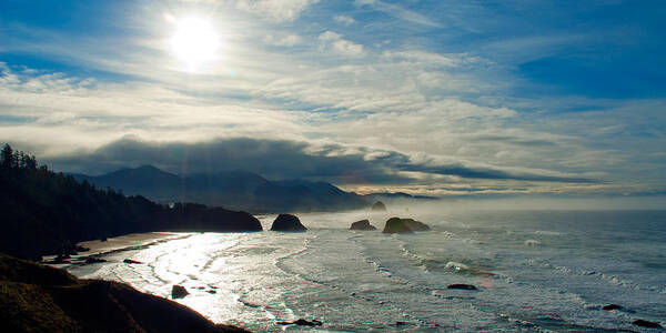 Pacific Nw Photos Art Print featuring the photograph Oregon Coast View by Storm Smith