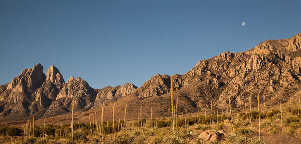 Aguirre Springs Art Print featuring the photograph Organ Mountans at Sunrise-3 by Alan Vance Ley