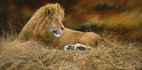 Lion Art Print featuring the painting Peaceful by Lucie Bilodeau