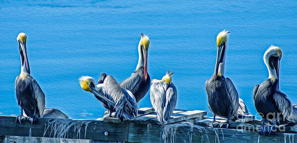 Animals Art Print featuring the painting Pelicans Siesta - Oil by DB Hayes