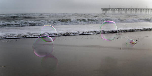 Bubble Art Print featuring the photograph Ramble On by Betsy Knapp