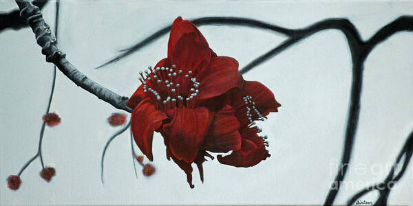 Flower Art Print featuring the painting Red Silk Cotton Flower by Jennifer Watson