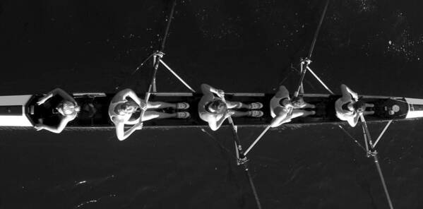 Rowing Art Print featuring the photograph Rowing black and white by David Lee Thompson