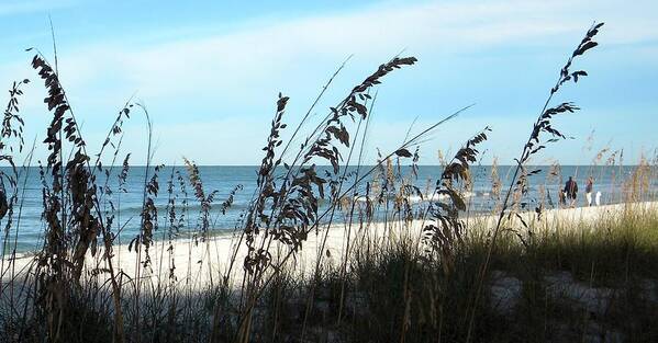 Art Print featuring the photograph Sea Oats Protecting the Beach by Sean Allen