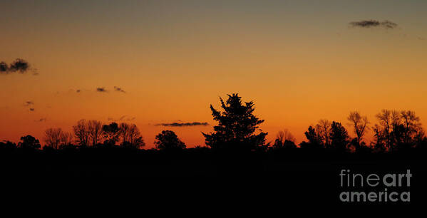 Nature Art Print featuring the photograph Silhouettes at Dawn by Joe Ng