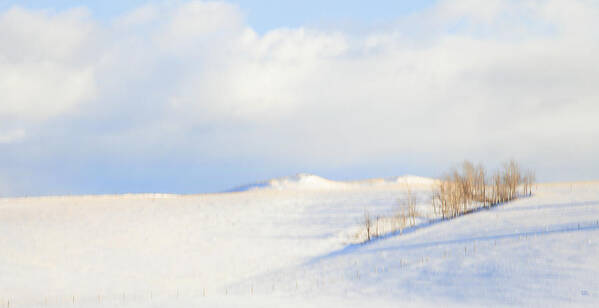 Minimalism Art Print featuring the photograph Simply Snow Landscape by Theresa Tahara