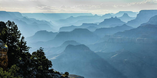 Grand Canyon West Art Print featuring the photograph Smoky Canyons by Steven Sparks