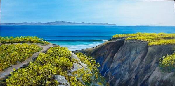 Naples Reef Art Print featuring the painting Spring mustard frames Santa Cruz Island by Jeffrey Campbell