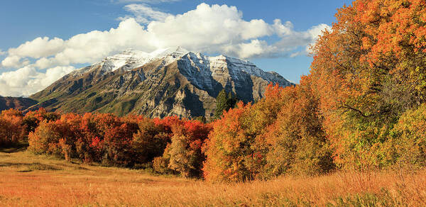 Panoramic Art Print featuring the photograph Squaw Peak Fall Pano by Wasatch Light