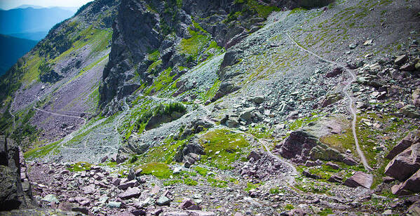 Alex Blondeau Art Print featuring the photograph Switchbacks Below Comeau Pass by Alex Blondeau