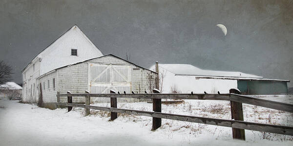 Barn Art Print featuring the photograph The Old White barn by Robin-Lee Vieira