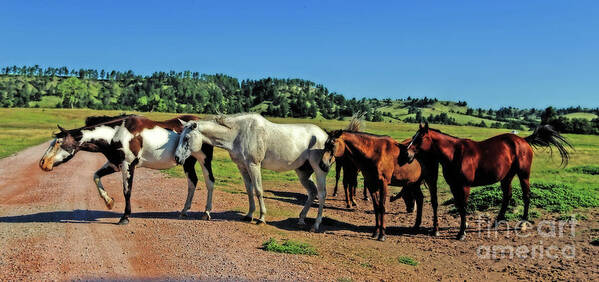 Horses Art Print featuring the photograph The Roadblock Registry by Elizabeth Winter