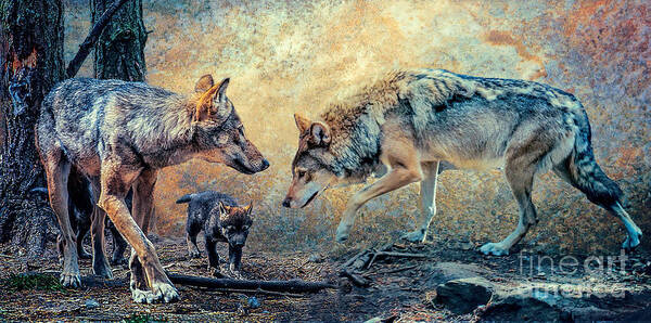 Wolf Family Art Print featuring the photograph The Wolf Family by Brian Tarr