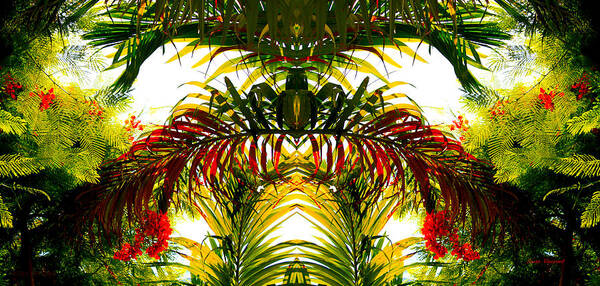 Susan Vineyard Art Print featuring the photograph Tropical Kaleidoscope by Susan Vineyard