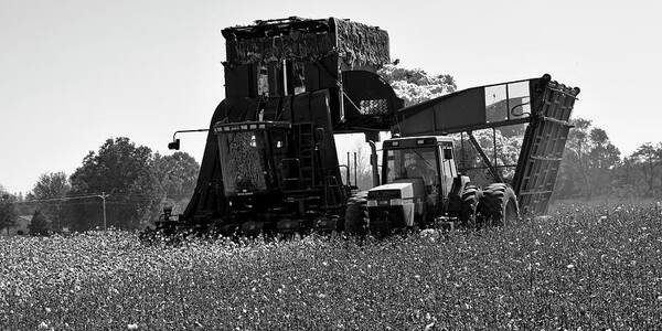 Ag Art Print featuring the photograph Up and Dump in Black and White by David Zarecor